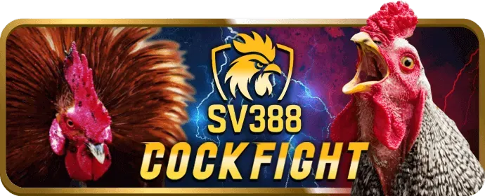 Hình ảnh Video Slots Đồ Họa Đỉnh Cao